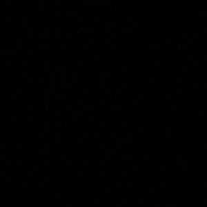 Meet your Posher, Savannah